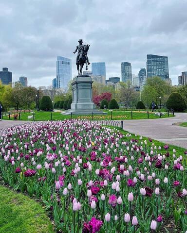 Boston Modern Lux | Subway | Family/Business Ready gallery image 5