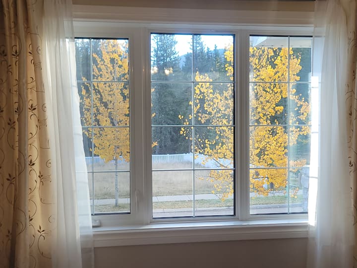 Pogled iz spavaće sobe na glavnom katu s prednje ulice i parka