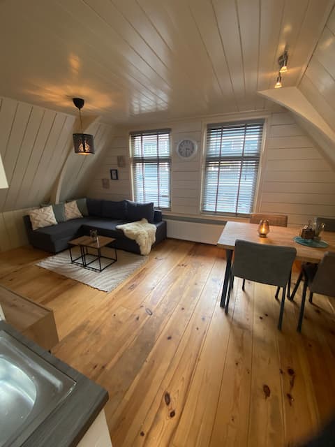 Cozy apartment close to the lake