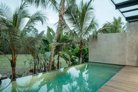 Wonderful 1BR ricefield private pool Villa in Ubud