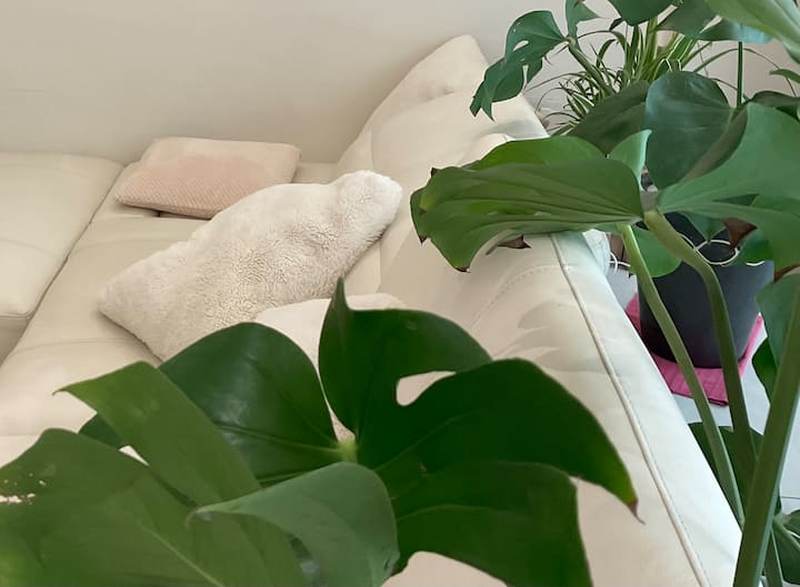 禧禧·日光～輕齡新宅近台江文化中心，晨光灑入的純白寧靜空間，慢活悠閒時光。 - 新市區