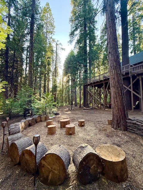 Big Trees Retreat 5BR-Sleeps 16 *2-Level Living