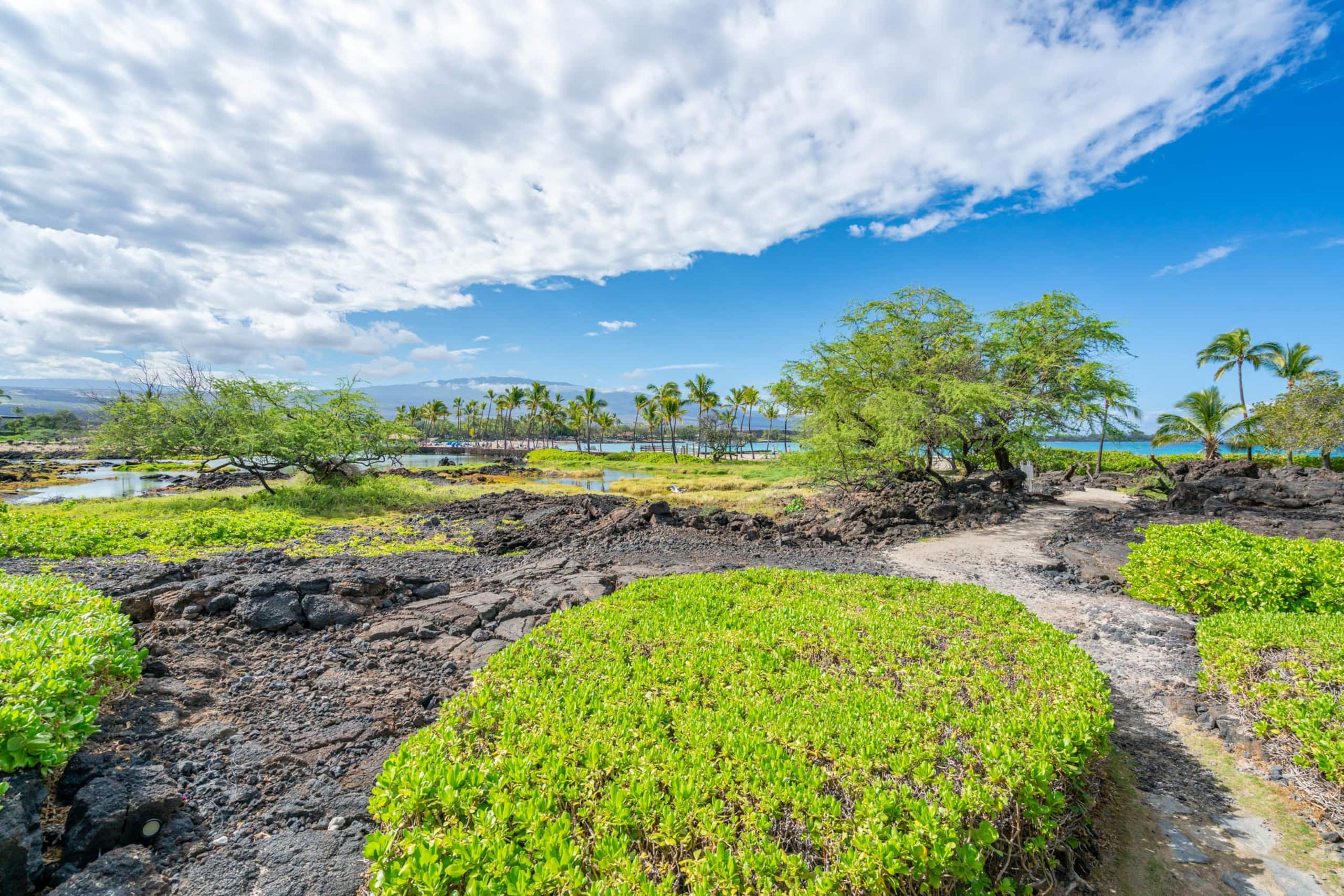 Kolea Villas 15M, Luxury, Direct Beach Access - Image 32