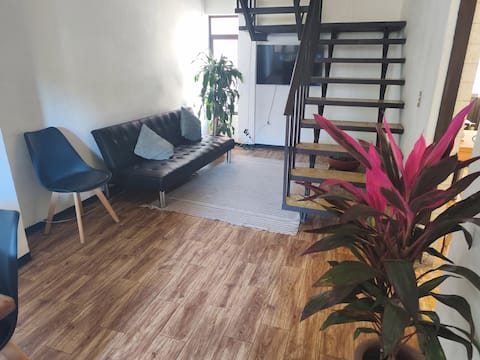 2 floor house in downtown garage & indep. entrance