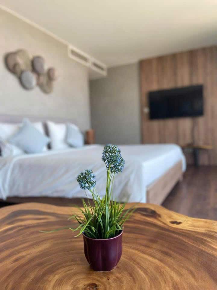 Chambre 3
