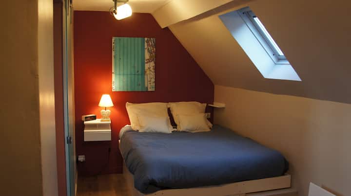 Habitación 1