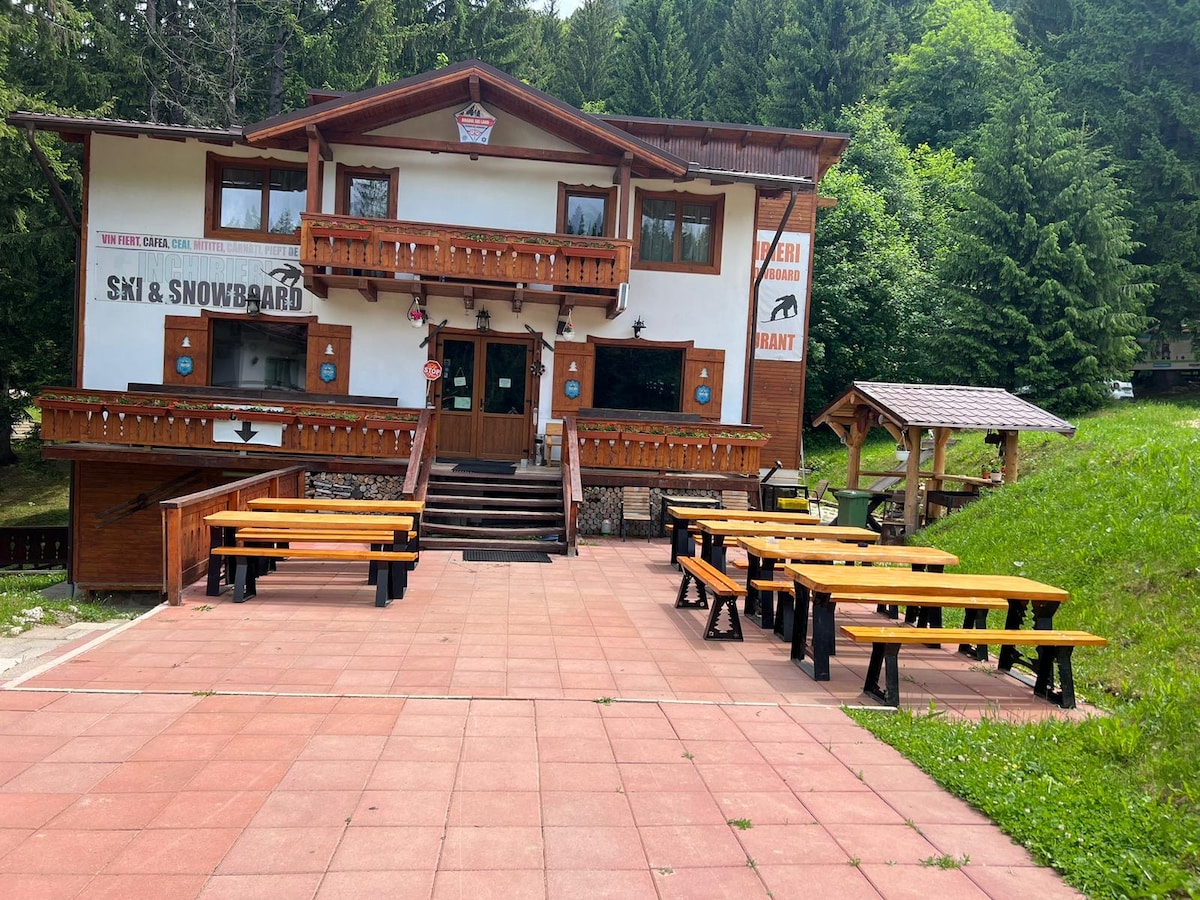 The exterior of the cabin features a welcoming entrance with wooden steps leading to a spacious door. Outdoor seating is arranged around wooden tables, accommodating groups. Lush greenery surrounds the structure, enhancing the natural setting.