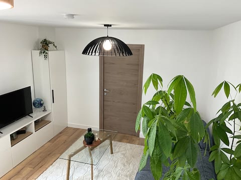 Successful Airbnb property: The Cottage of the Sèvre in Saint Laurent Sur Sèvre