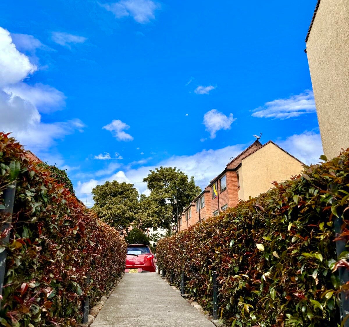 A clear blue sky is overhead as a well-kept pathway lined with lush green hedges leads toward a red car parked in a secluded area. Two buildings can be seen in the background, contributing to a serene environment.