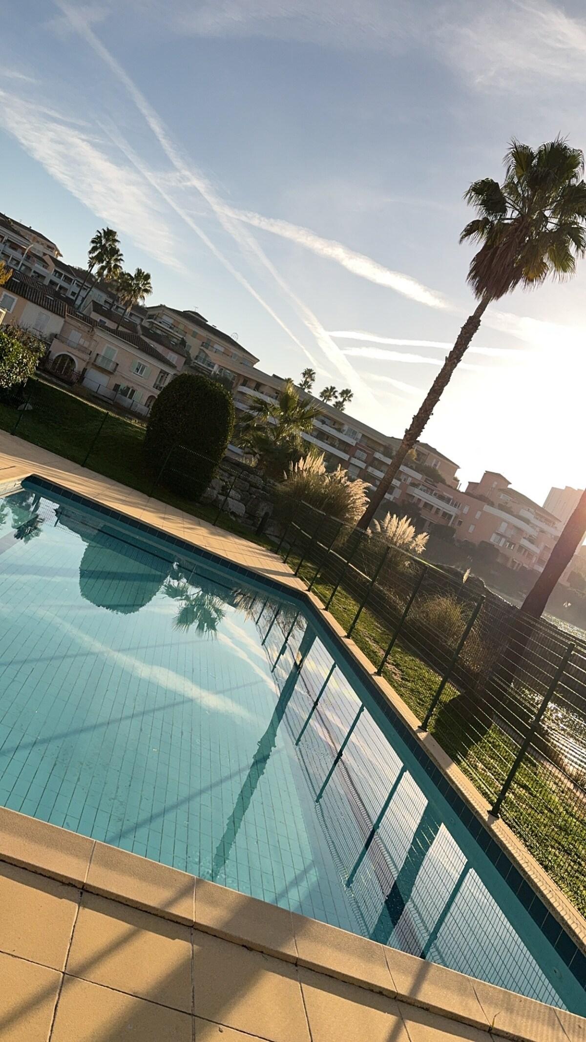 A tranquil pool area is surrounded by a fence, featuring clear water reflecting the sunlight. Palm trees and grassy areas are visible in the background, with a glimpse of modern buildings lining the horizon.