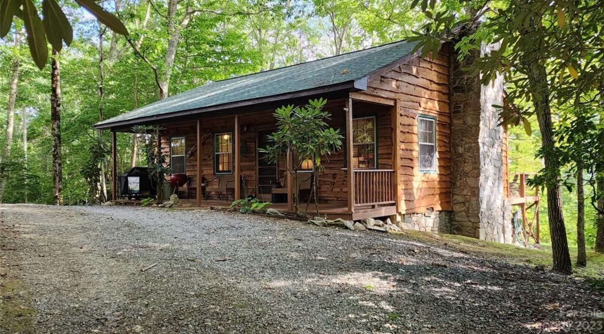 A wooden cabin is nestled among lush trees, providing a sense of seclusion. The front porch features a railing and potted plants. Windows allow natural light to enter, complementing the cabin's warm wood tones. A gravel path leads up to the entrance.