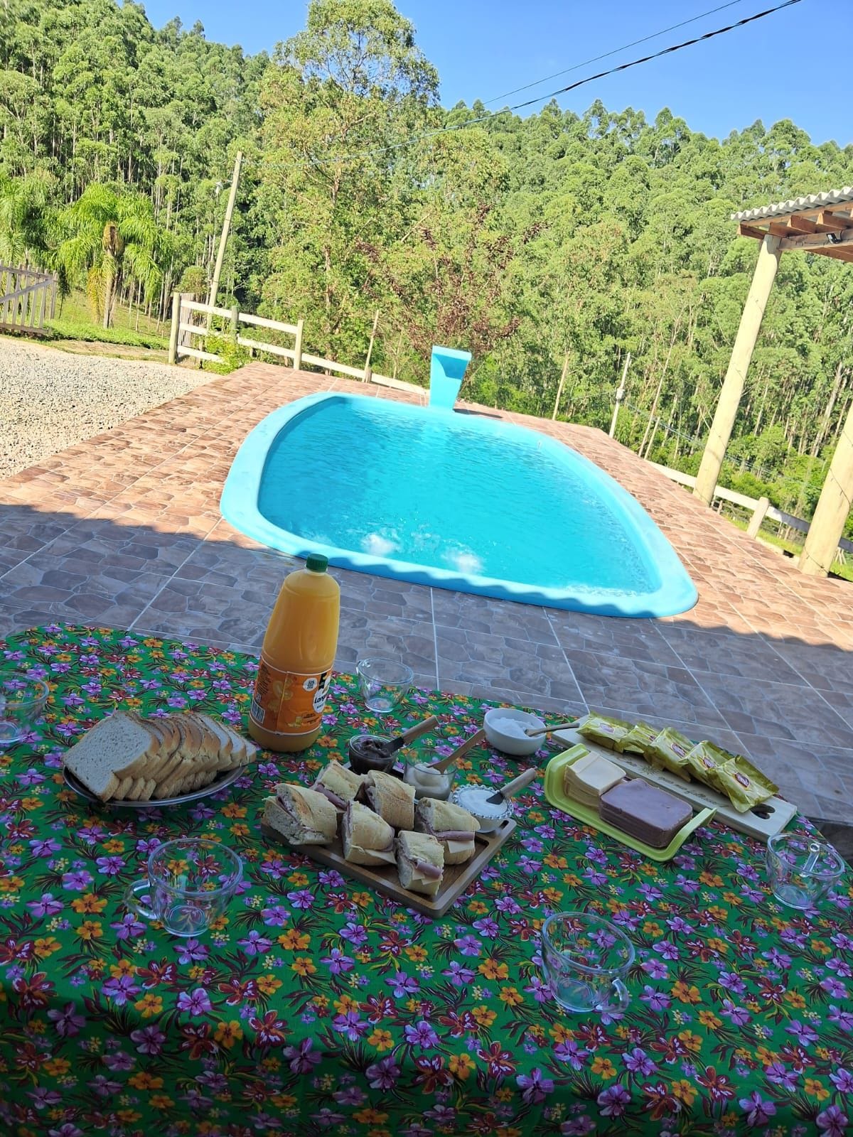 A vibrant outdoor setting features a turquoise pool surrounded by greenery. A colorful tablecloth displays an assortment of snacks, including sandwiches and beverages, inviting relaxation under the sun. The natural landscape enhances the peaceful ambiance of the space.