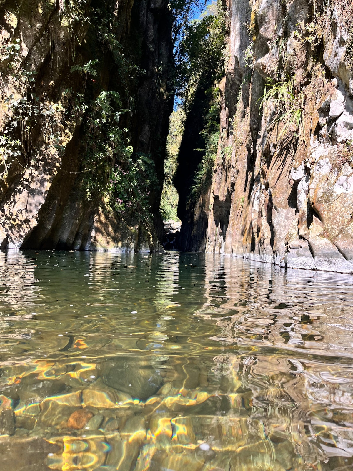 A serene waterway with rock formations flanking both sides is captured under sunlight, revealing clear water reflecting colors from rocks beneath. Dense greenery can be seen along the cliffs, enhancing the secluded feel of this natural setting.