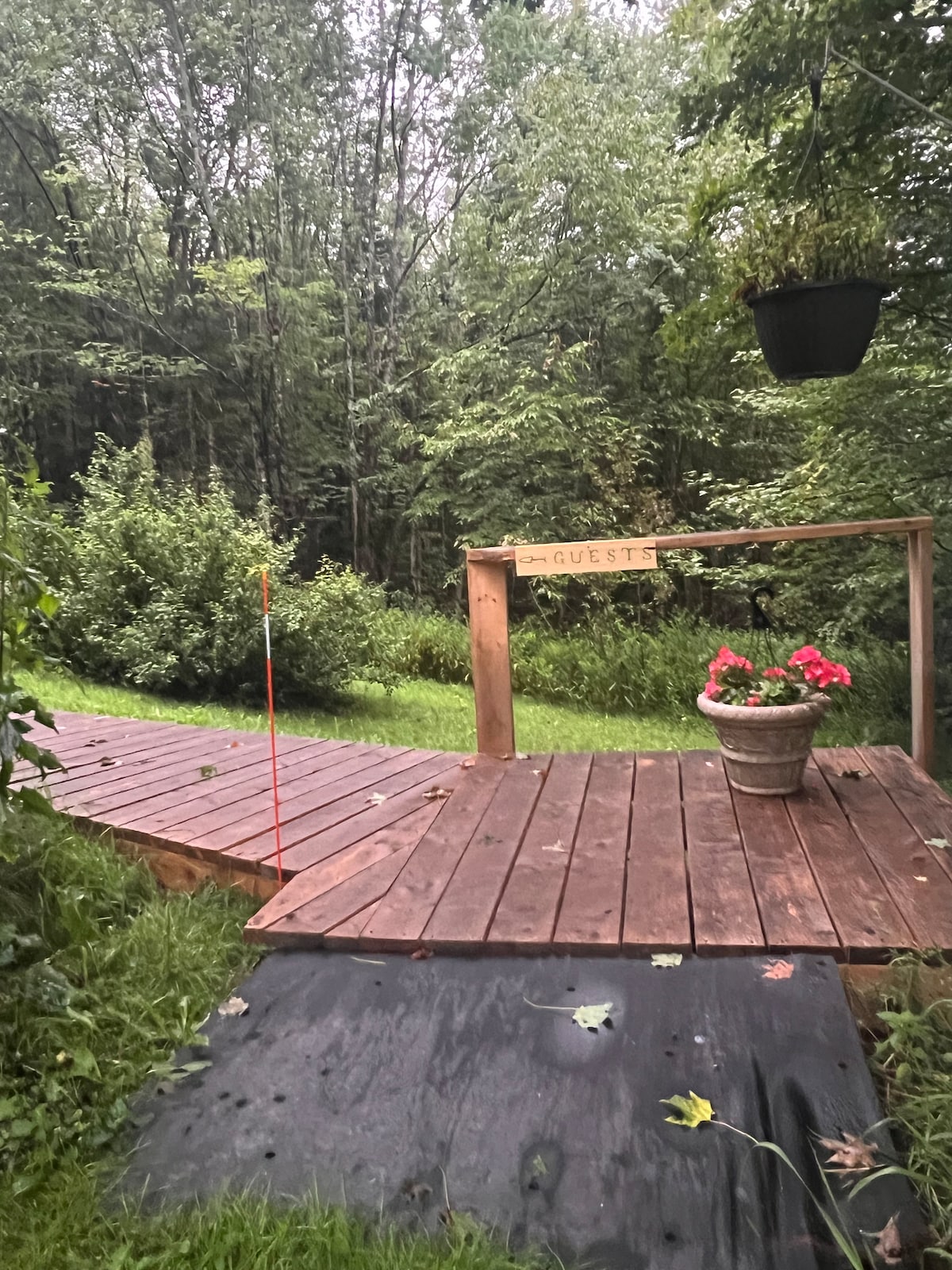 A wooden pathway leads into a natural setting, flanked by lush greenery and trees. A potted plant with vibrant flowers rests on a wooden platform labeled 'Guests,' inviting visitors to explore the serene environment.