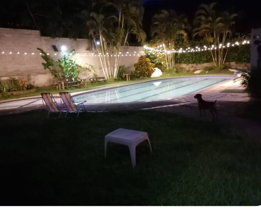 An inviting outdoor space features a softly lit swimming pool bordered by lush greenery and palm trees. Two lounge chairs are positioned by the pool, and a small table sits on the grass. A dog can be seen nearby, adding a relaxed atmosphere.