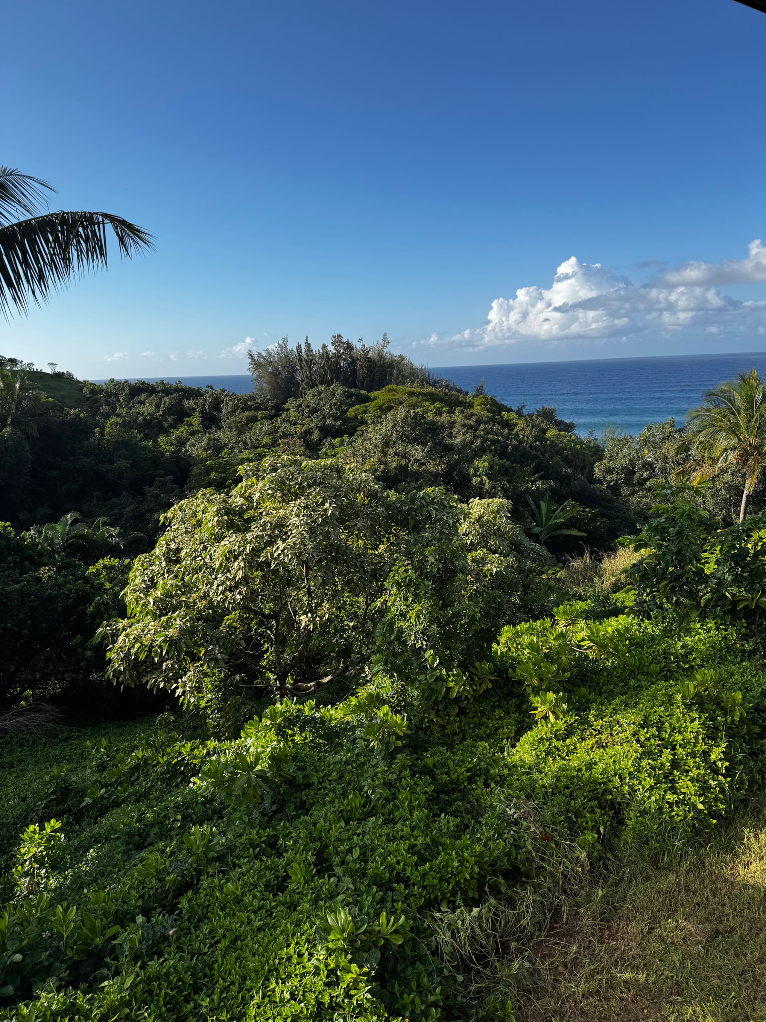 Townhouse in Princeville · ★4.94 · 2 bedrooms · 2 beds · 2 baths - Image 18