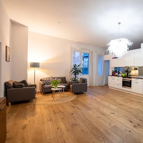 Large quiet apartment near Bern with parking space