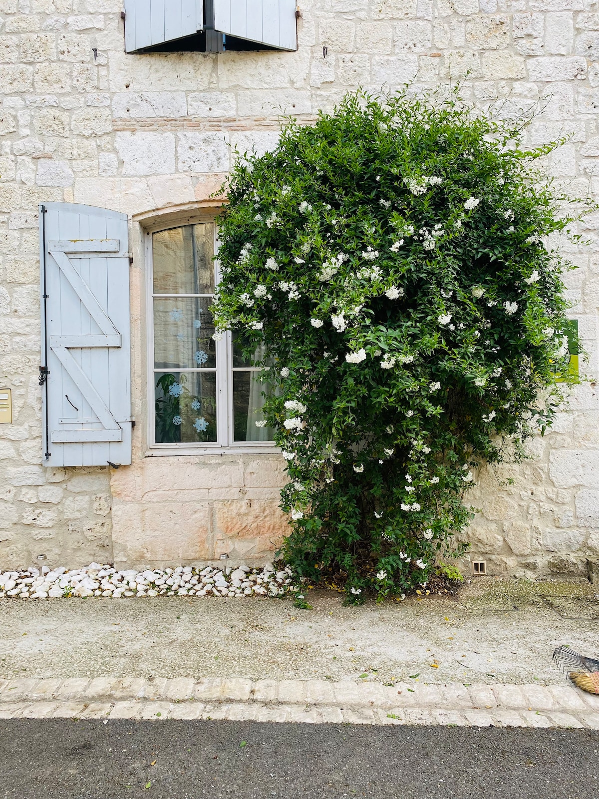 A stone exterior features a window adorned with light blue shutters, surrounded by lush greenery and white flowering plants. The charming landscaping enhances the rustic character of the building while creating an inviting outdoor atmosphere.