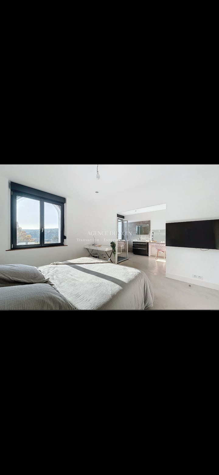 Villa Contemporaine Avec Grande Piscine - Tourtour