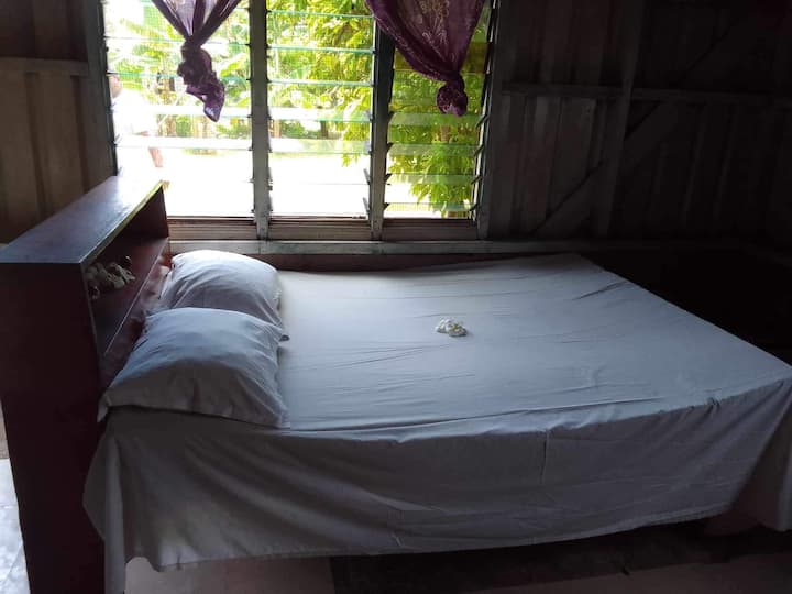 საძინებელი