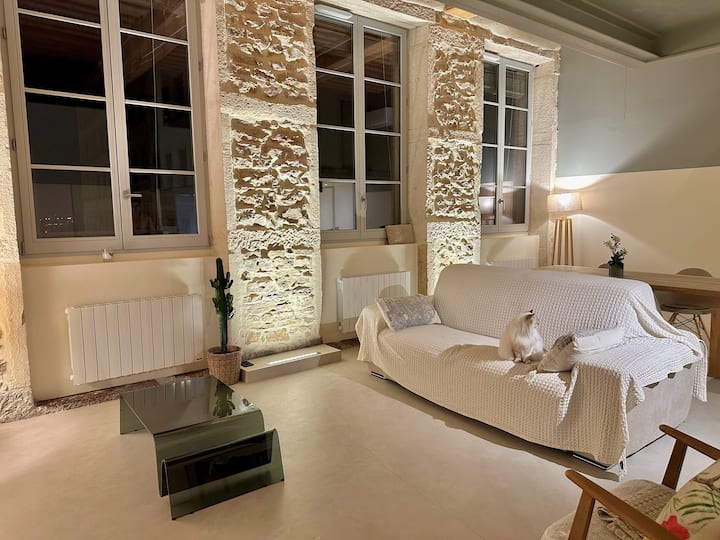 Loft Canut Contemporain - Lyon