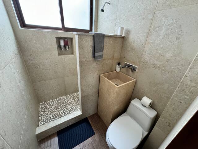 Comfy house in Condesa 5 BR gallery image 4