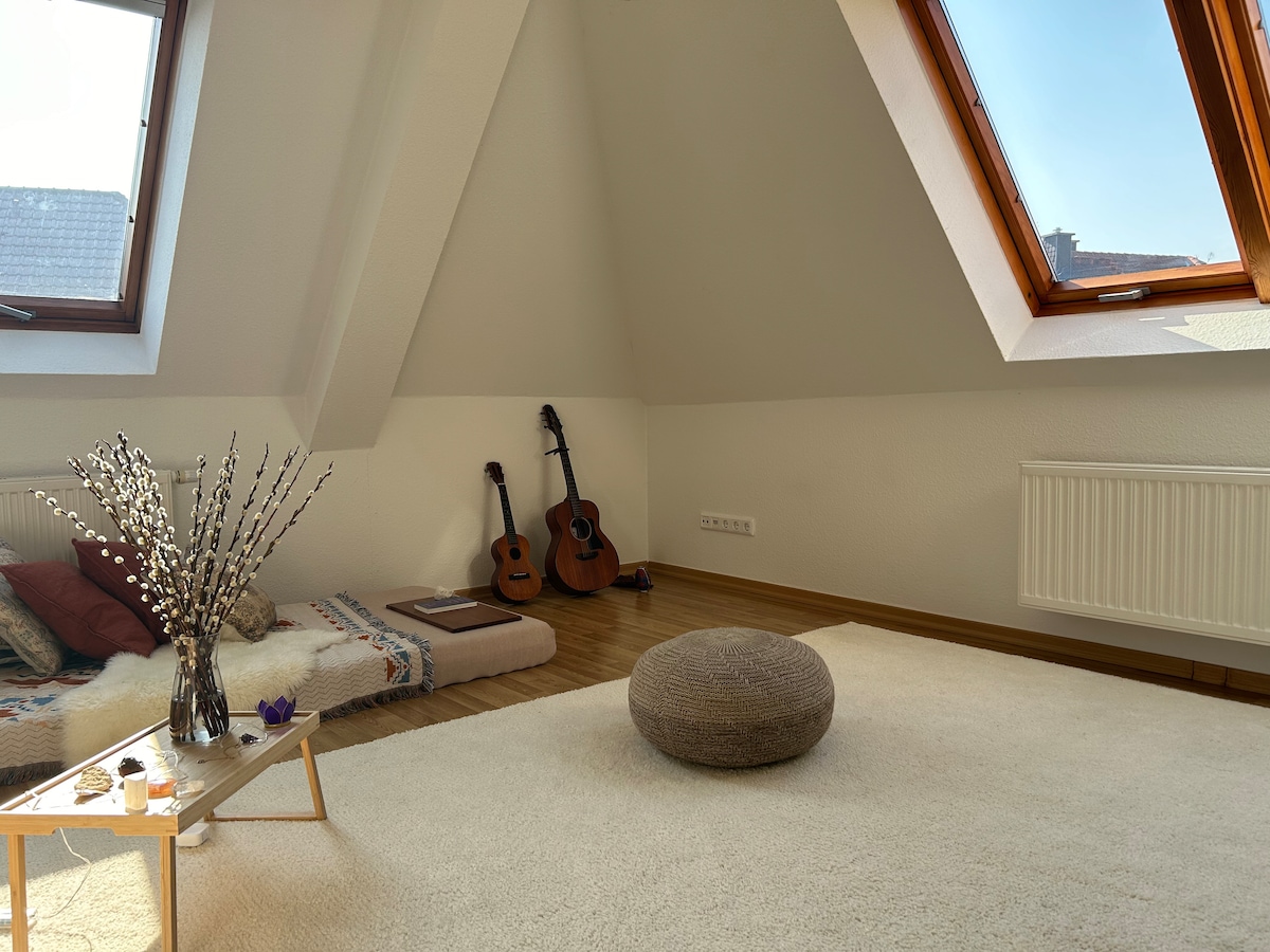 Successful Airbnb property: Feel-good roof oasis in Kleinzschocher