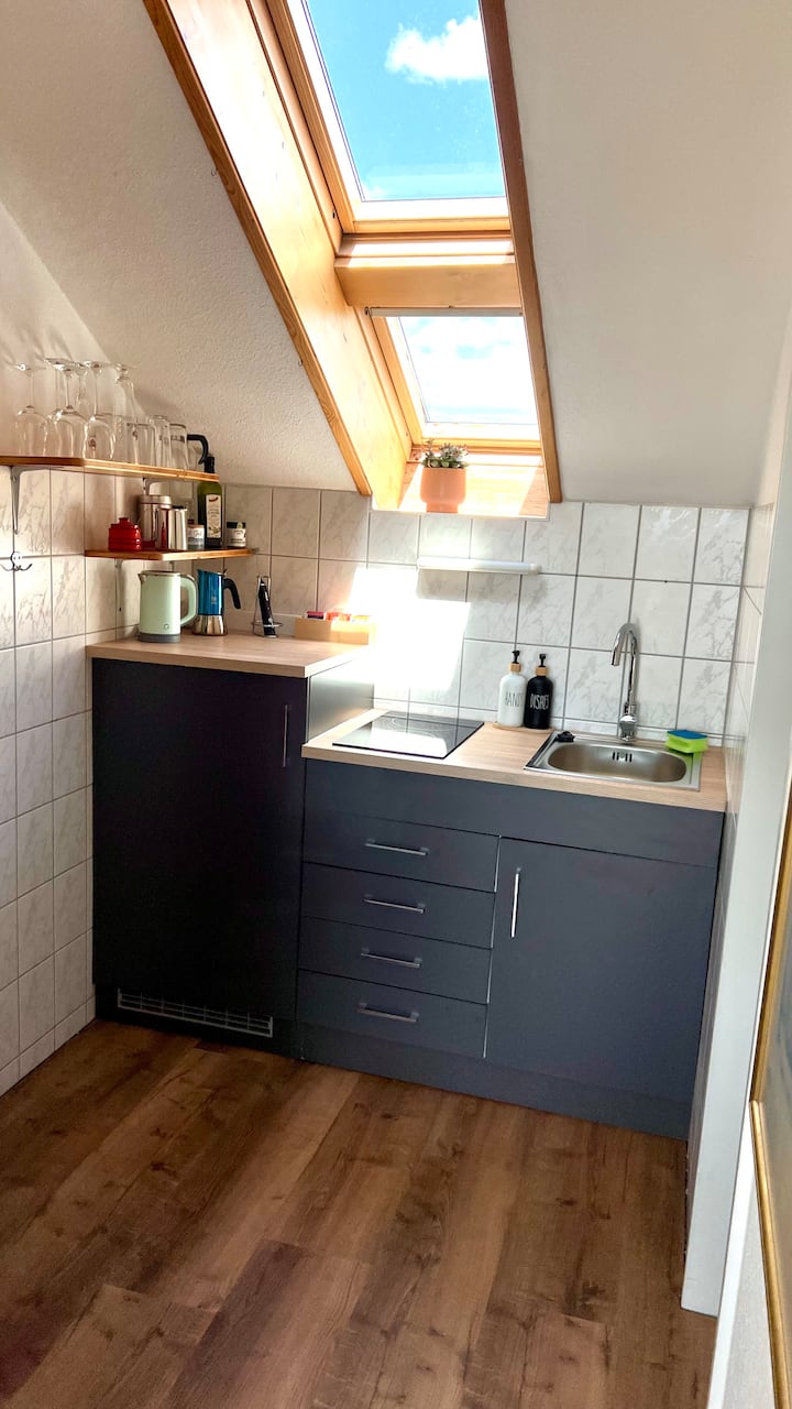 Schlossbergblick
1-zimmer Dachgeschoss Apartment - Freiburg im Breisgau