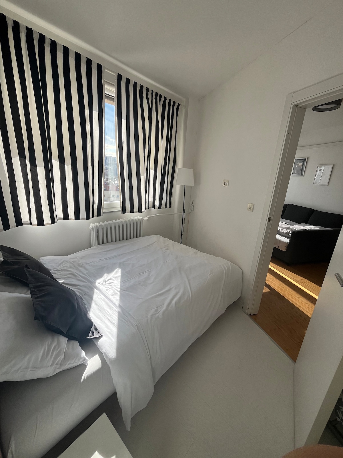 Duerme tranquilamente en el centro de Belgrado