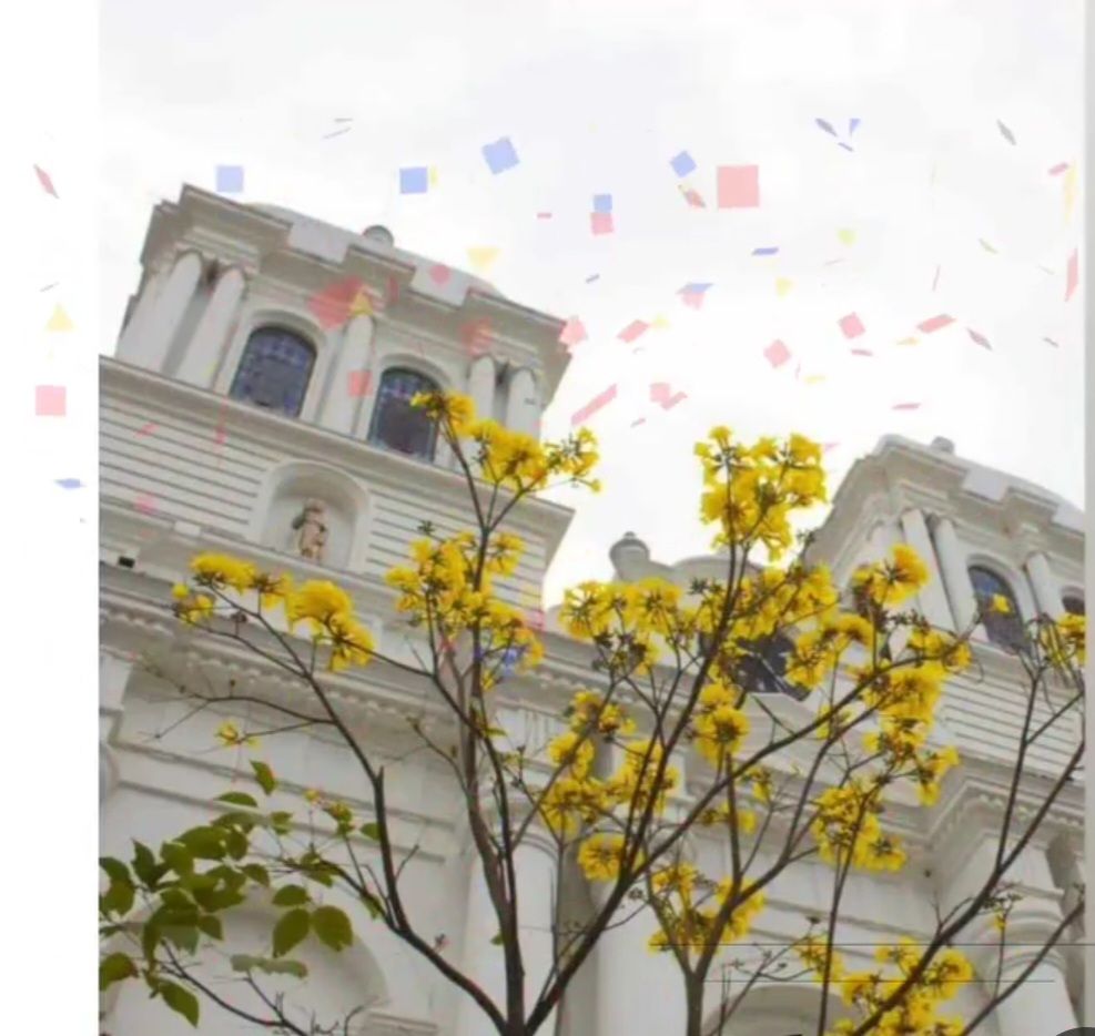 Bright yellow flowers bloom on a tree in front of a white building with classic architectural features. The building is adorned with intricate details, and the sky above is sprinkled with colorful confetti, adding a festive touch to the scene.