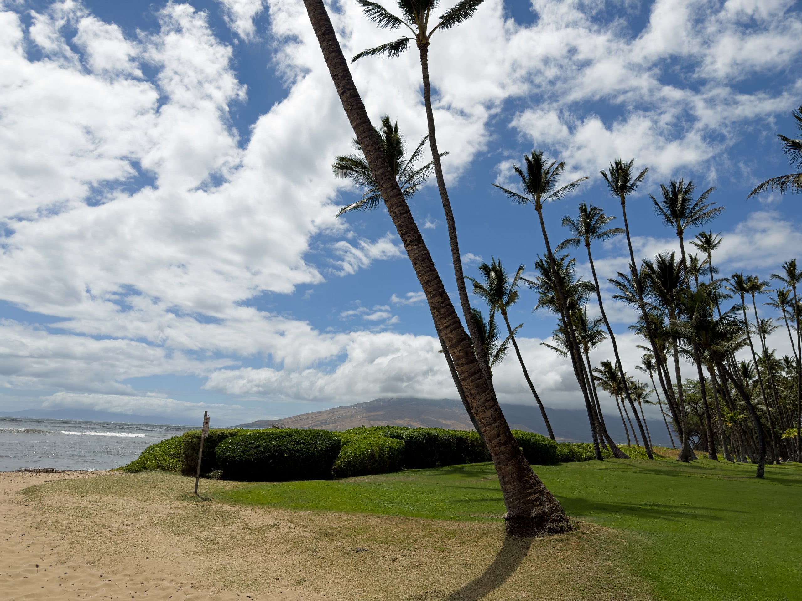 Condo in Kihei · ★4.82 · 2 bedrooms · 2 beds · 2 baths - Image 36