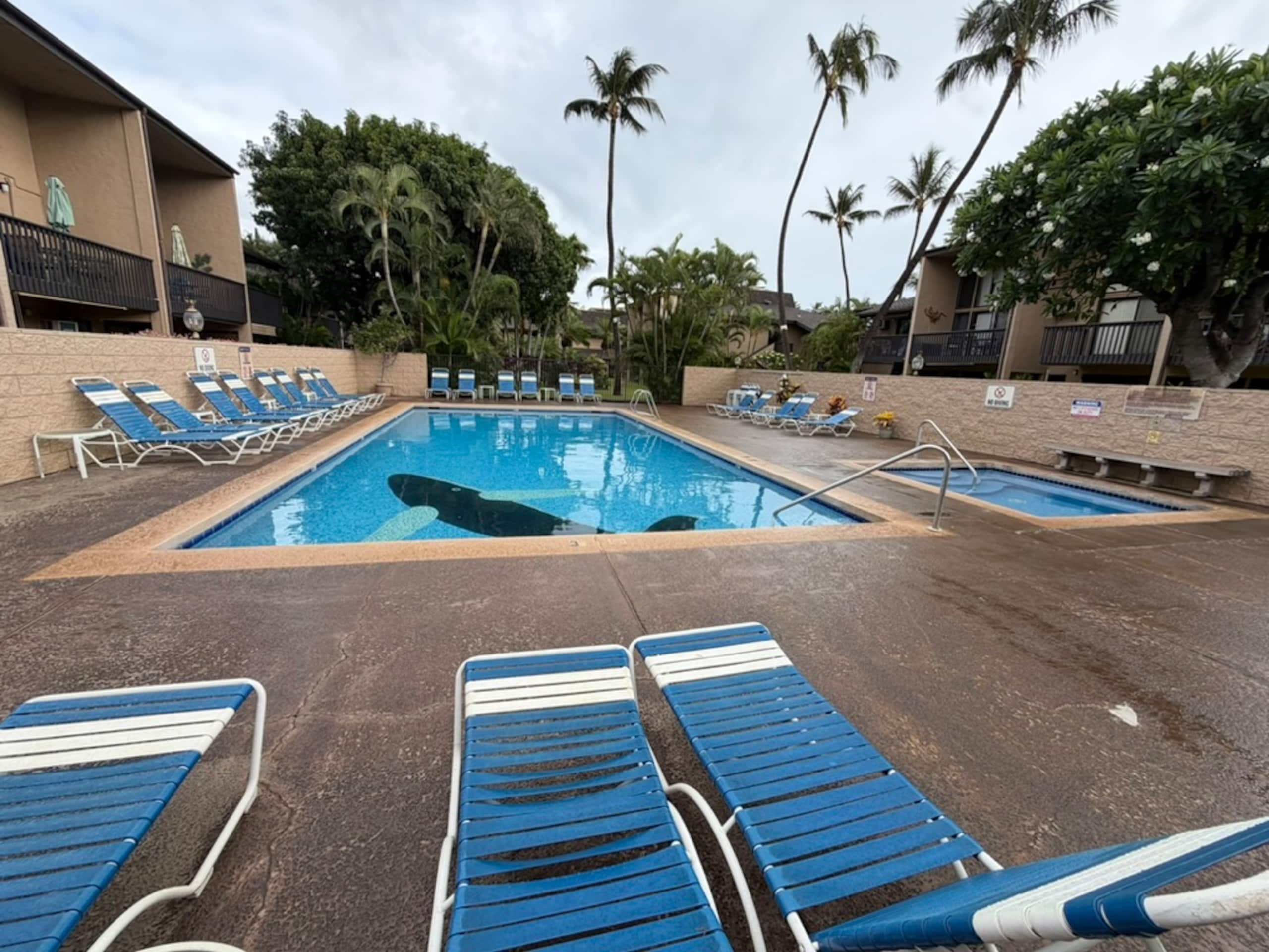 Condo in Kihei · ★4.82 · 2 bedrooms · 2 beds · 2 baths - Image 34