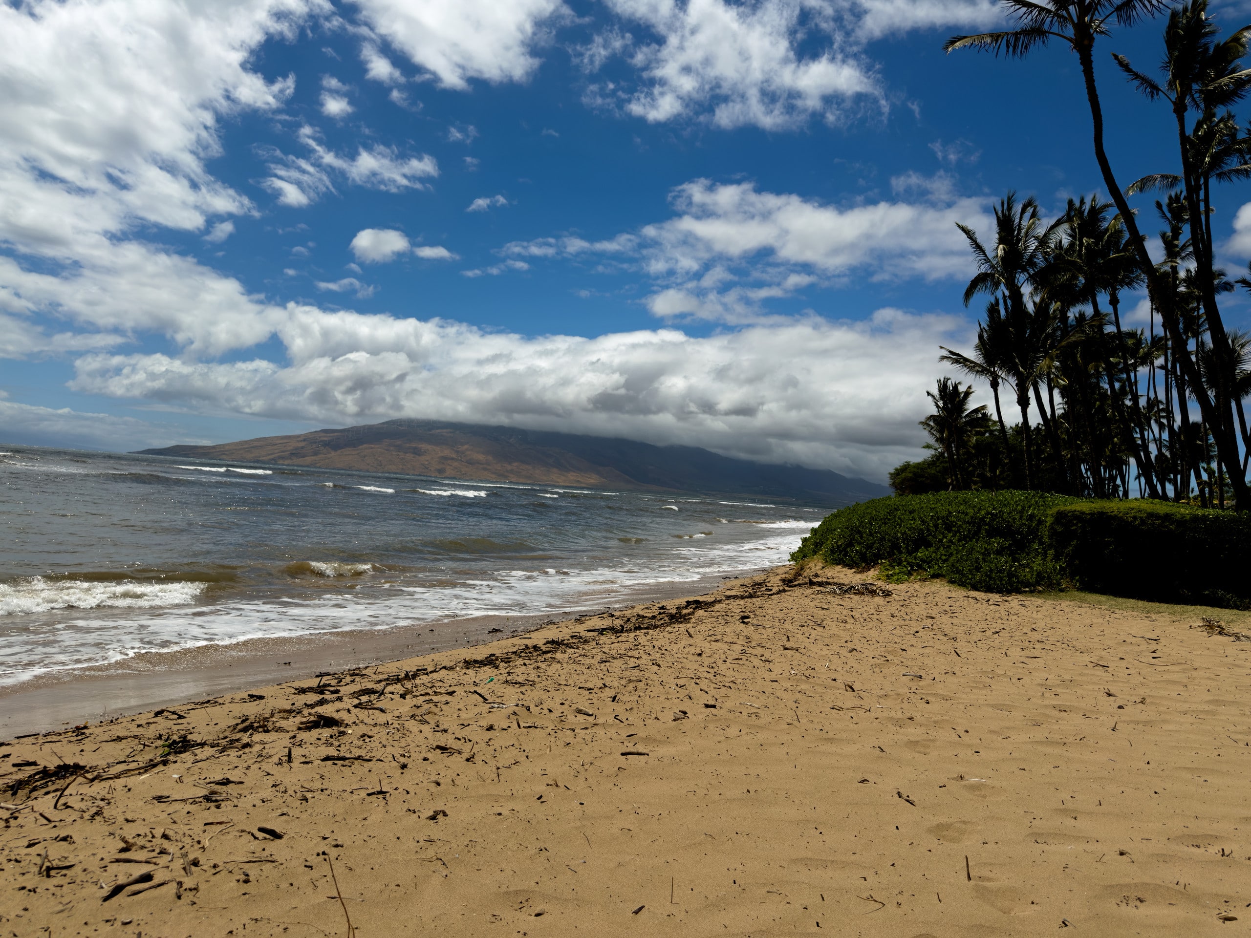 Condo in Kihei · ★4.82 · 2 bedrooms · 2 beds · 2 baths - Image 25