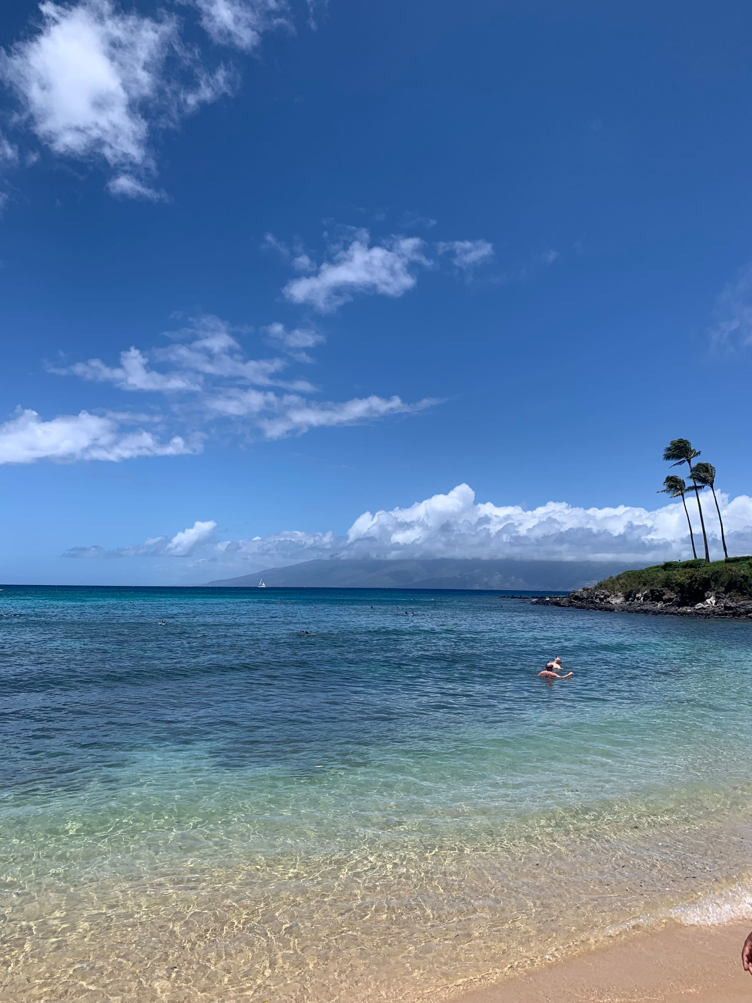 Condo in Kihei · ★4.82 · 2 bedrooms · 2 beds · 2 baths - Image 38