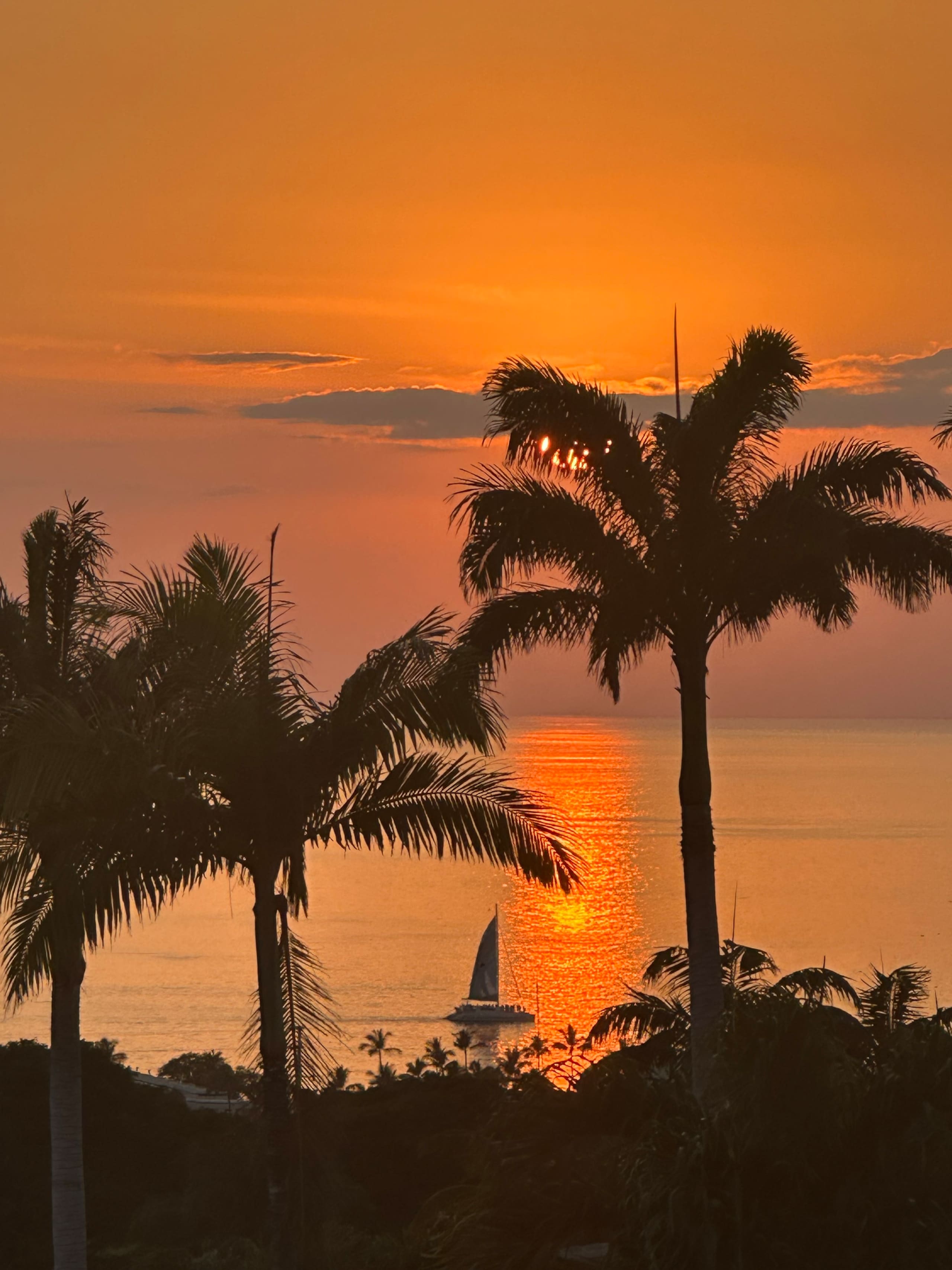 Condo in Kihei · ★4.82 · 2 bedrooms · 2 beds · 2 baths - Image 35