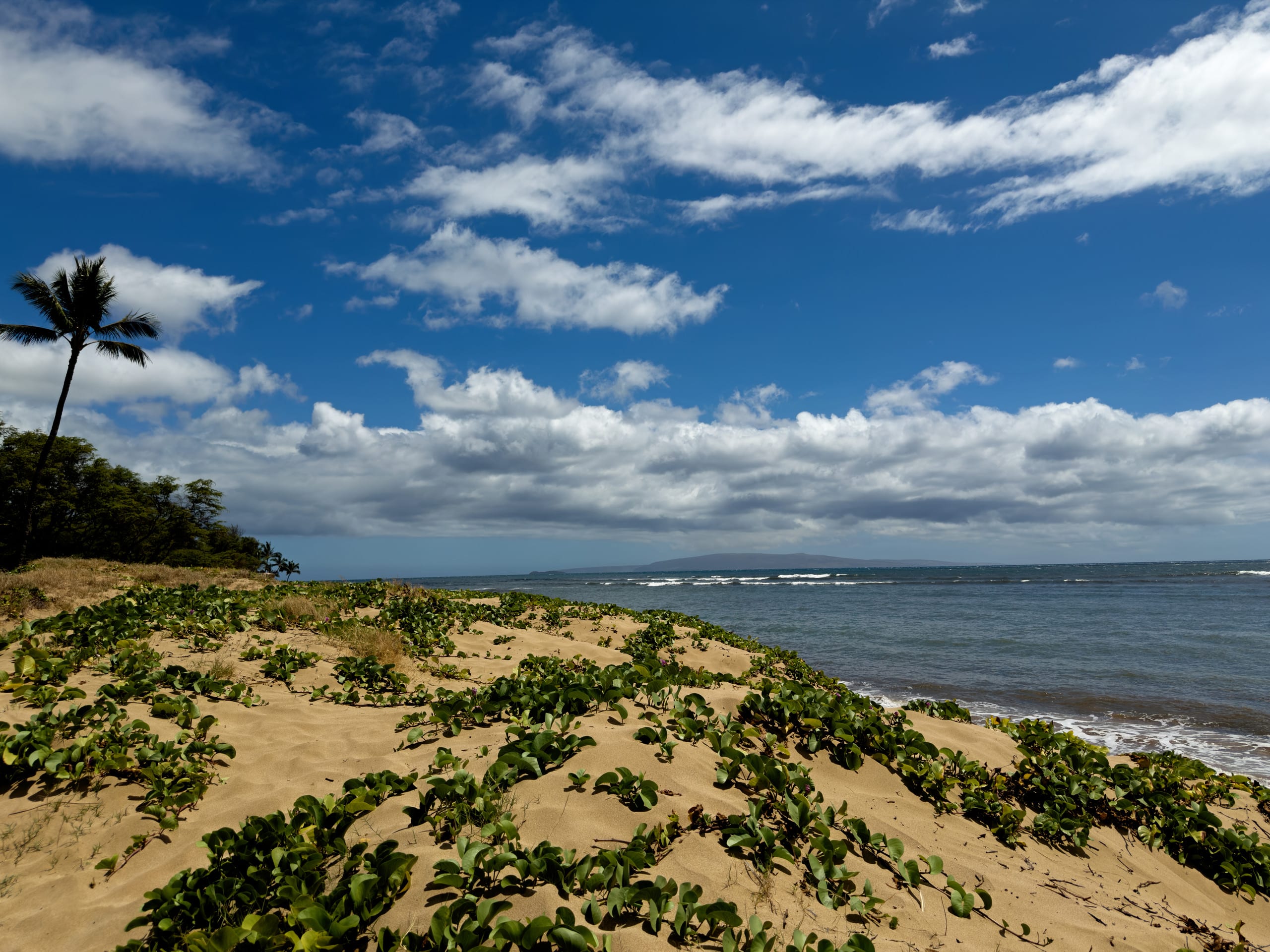 Condo in Kihei · ★4.82 · 2 bedrooms · 2 beds · 2 baths - Image 26