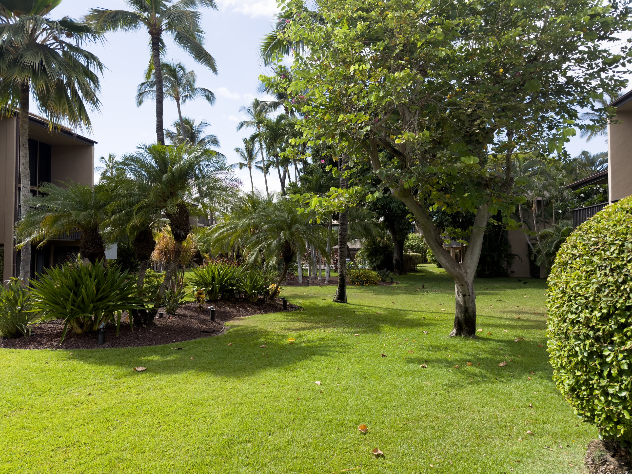 Condo in Kihei · ★4.82 · 2 bedrooms · 2 beds · 2 baths - Image 28