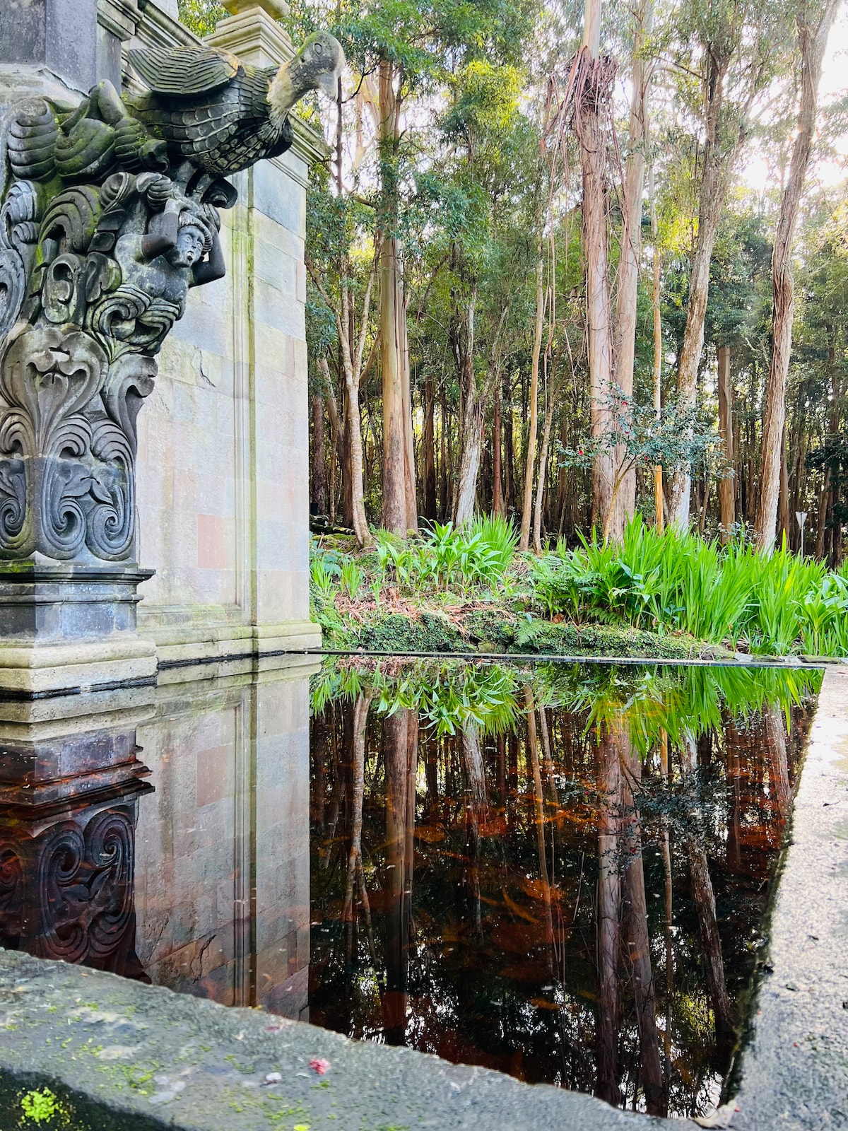 A decorative stone structure with intricate carvings is positioned beside a calm pool of dark water, reflecting the surrounding greenery. Tall trees with slender trunks create a natural backdrop, enhancing the serene atmosphere of the scene.