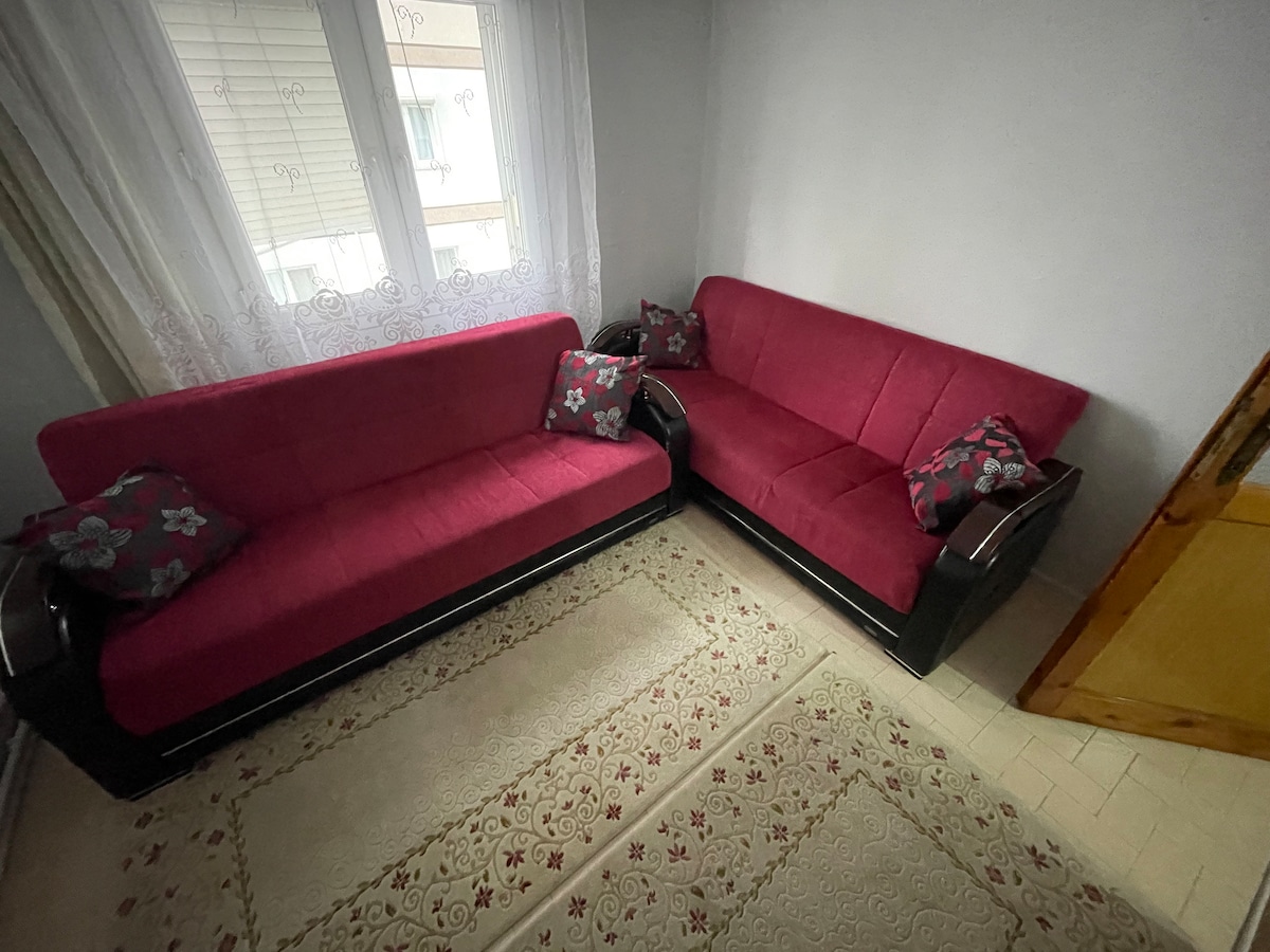 A cozy seating area features two plush, magenta sofas with floral patterned accent pillows. Natural light filters in through a window dressed in sheer white curtains, illuminating the light-colored floor and a patterned area rug.