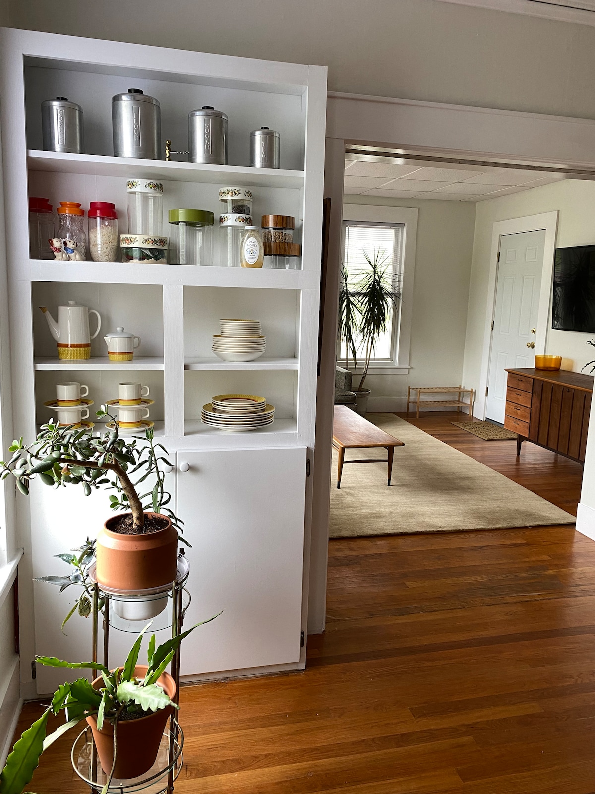 A white cabinet is seen in the foreground, showcasing various kitchen items such as glass jars, plates, and mugs. A potted plant is positioned in front, while a cozy living area is visible in the background, featuring a wooden coffee table and a comfortable sofa.