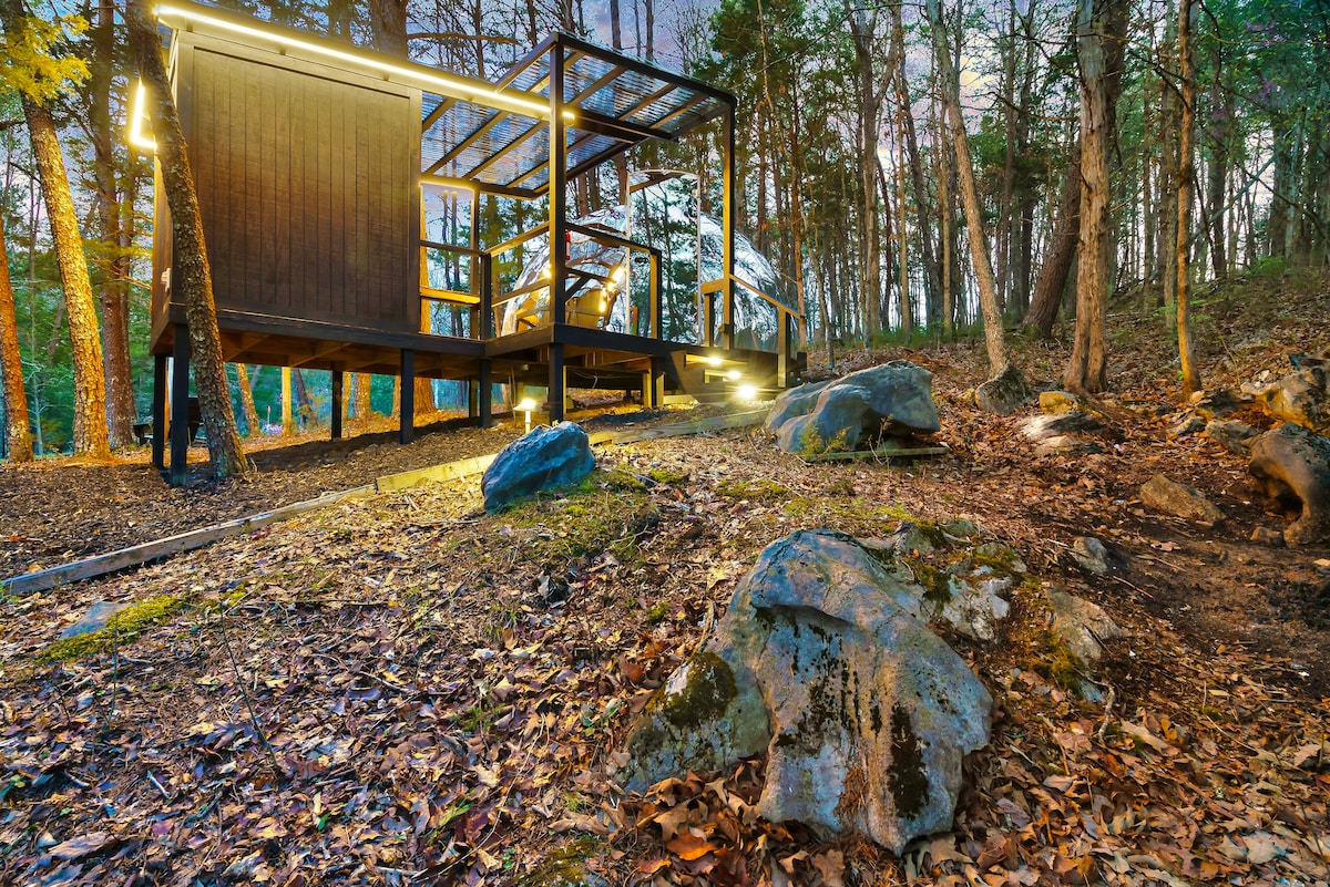 A unique mirrored dome structure sits nestled among trees, supported by a wooden deck. Soft lighting outlines the deck's steps, contrasting with the natural stone and fallen leaves on the forest floor. Surrounding trees and foliage enhance the tranquil setting.