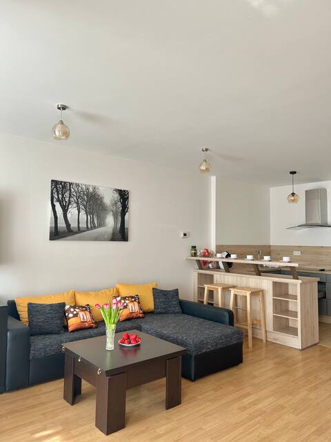 Apartment in the heart of Poděbrad 100m2