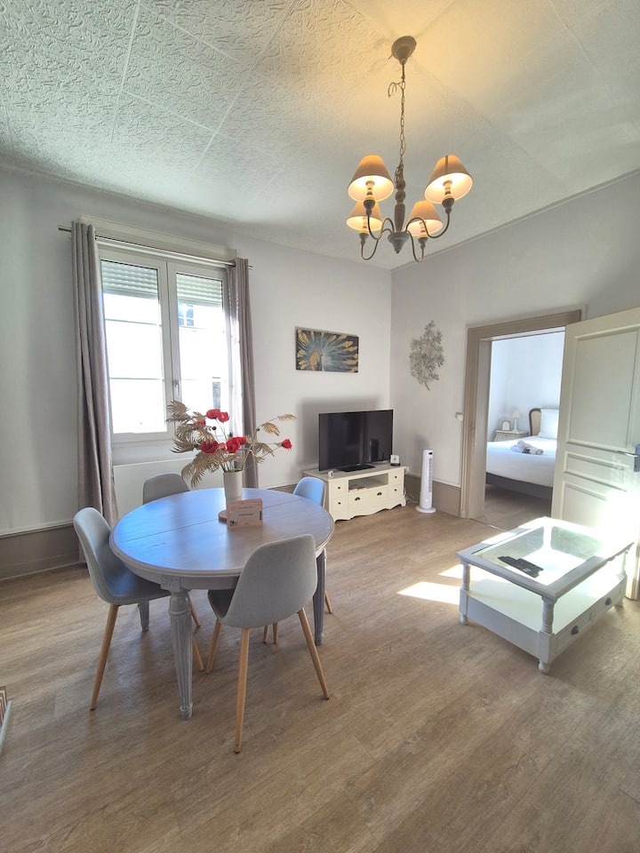T2*clim*ctre Ville*proche Beauval Et Chateaux - Montrichard