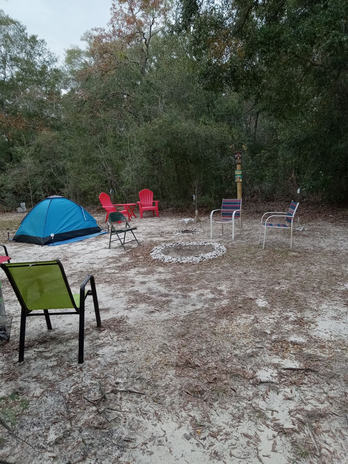 A private tent camping area is displayed, featuring a blue tent set amongst natural foliage. Several chairs in vibrant colors, including two red adirondack chairs and a green chair, surround a circular fire pit made of stones. The sandy ground is scattered with leaves.