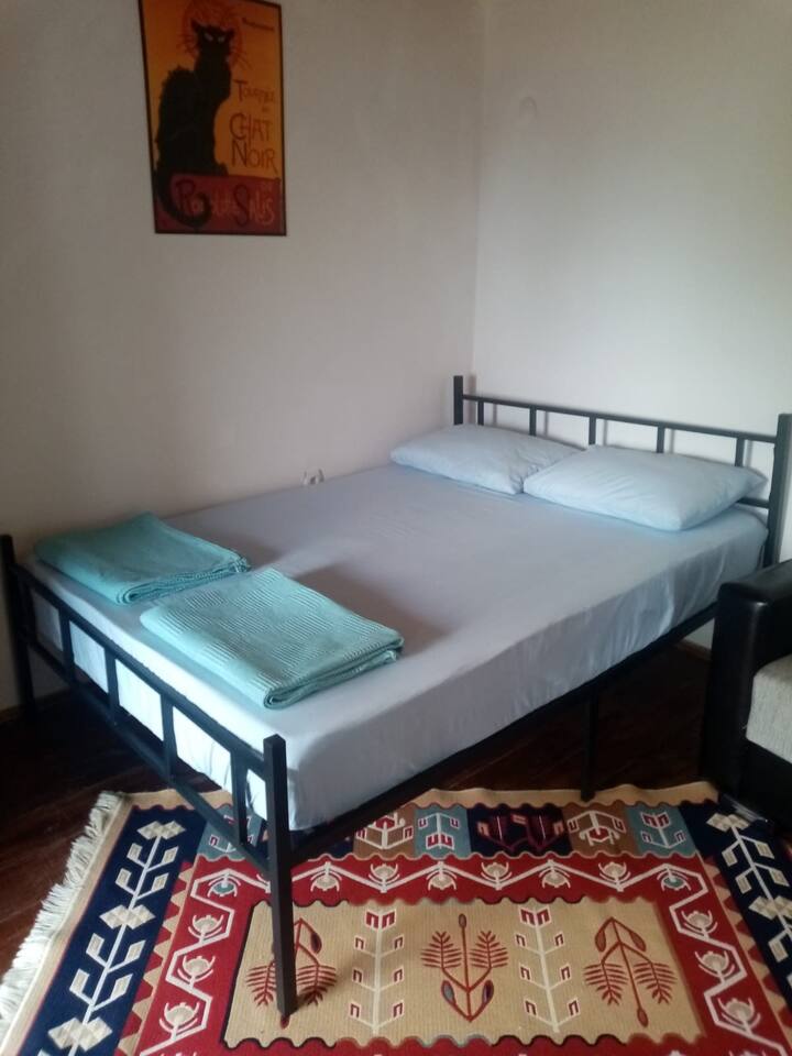 Il y a un lit double, un canapé-lit et la climatisation. 