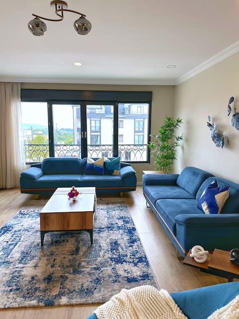 Modern 3 BR Apartment near Izmit (Blue Flat)