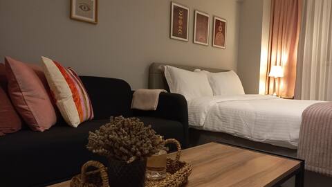 Unique apartment in the Nilüfer district