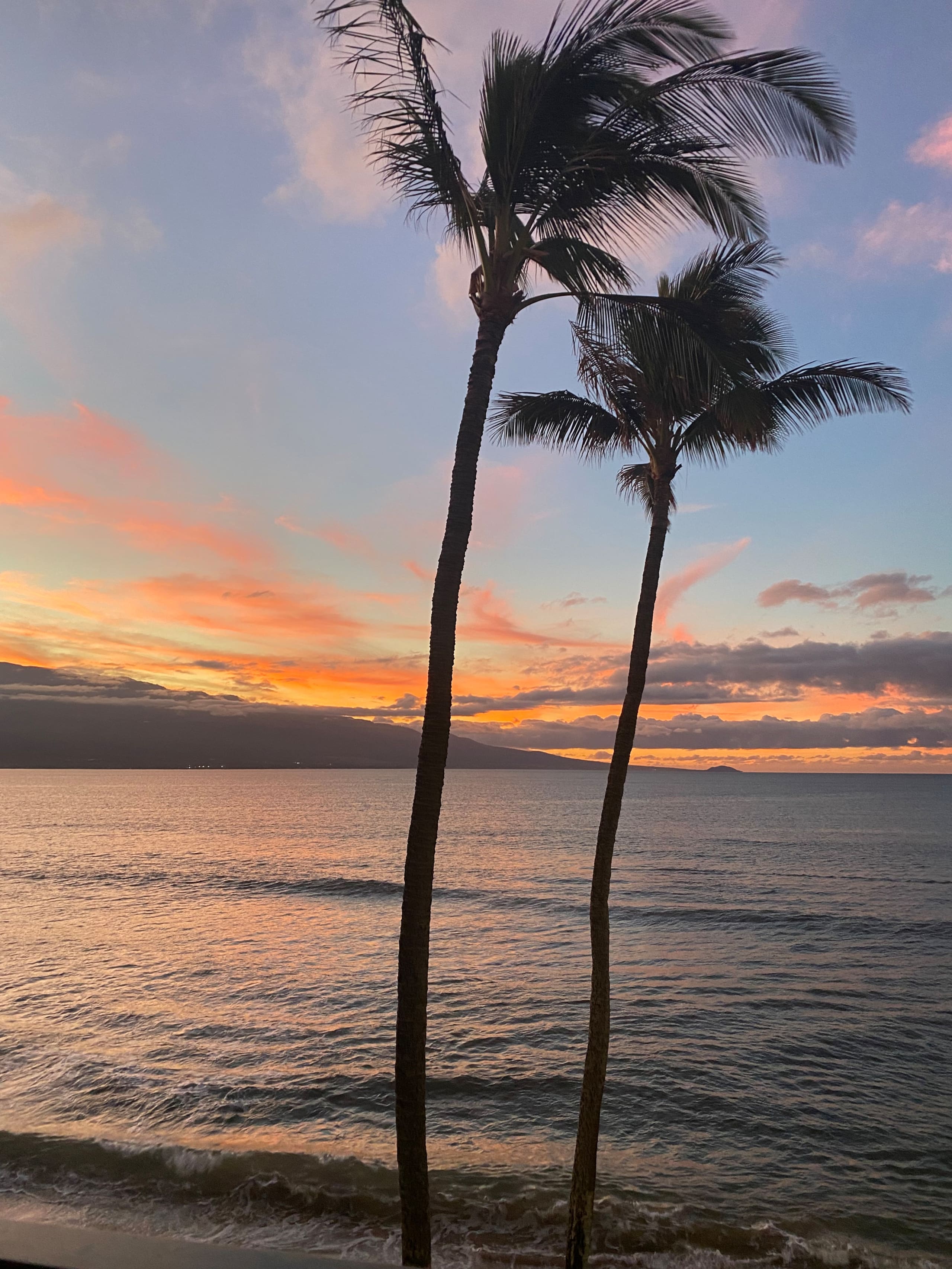 Condo in Wailuku · ★5.0 · 2 bedrooms · 3 beds · 2 private baths - Image 19
