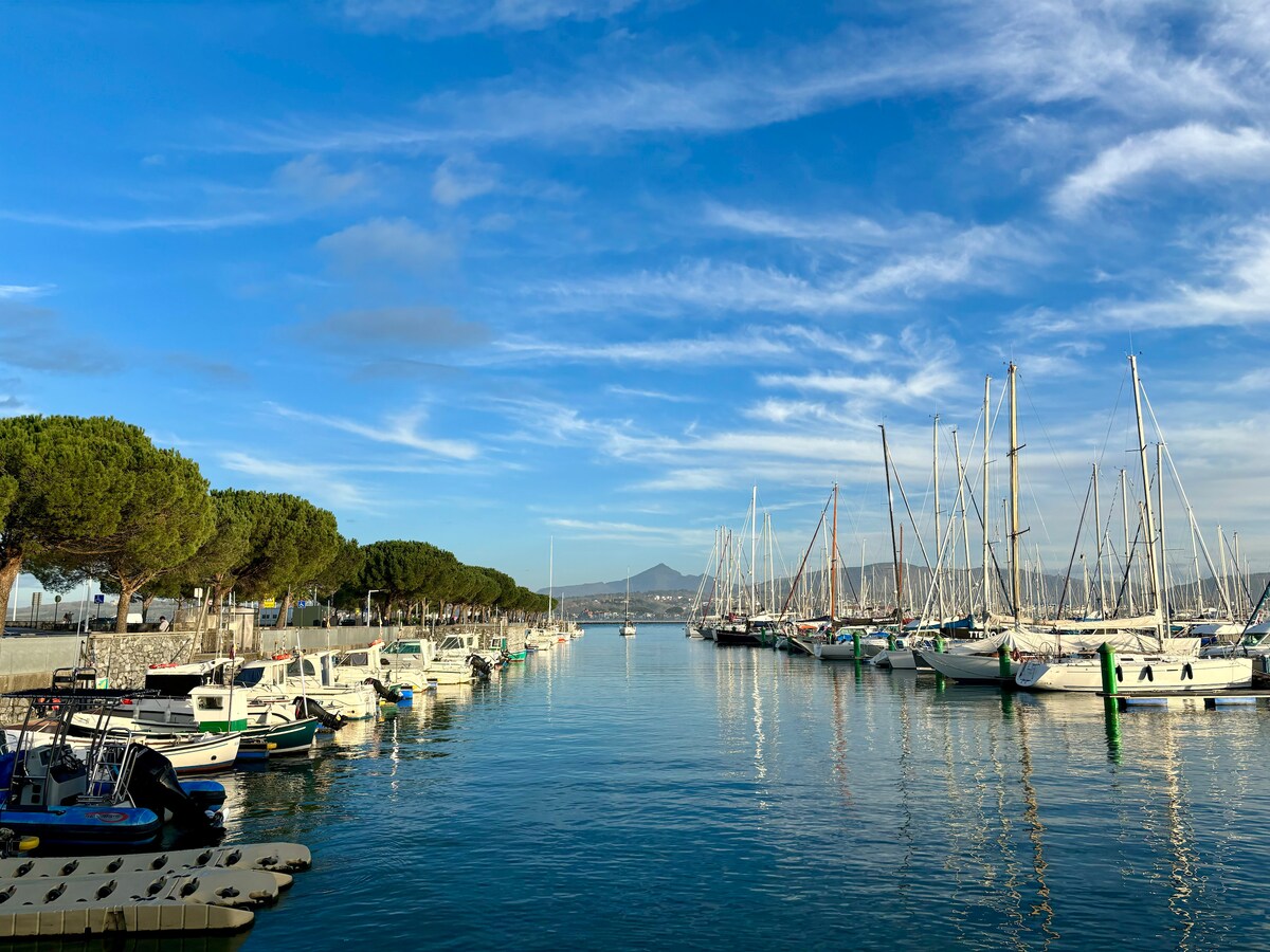 A serene harbor scene features a collection of boats anchored quietly in calm waters. Lush green trees border the marina, framed by clear blue skies and wispy clouds. The distant mountains create a scenic backdrop, contributing to a peaceful coastal atmosphere.