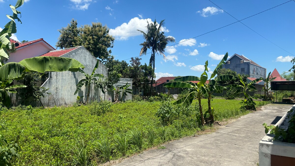 A verdant outdoor space features lush greenery and banana trees, creating a natural setting. The landscape includes a wide path made of concrete leading into the area, with residential buildings visible in the background under a bright blue sky.